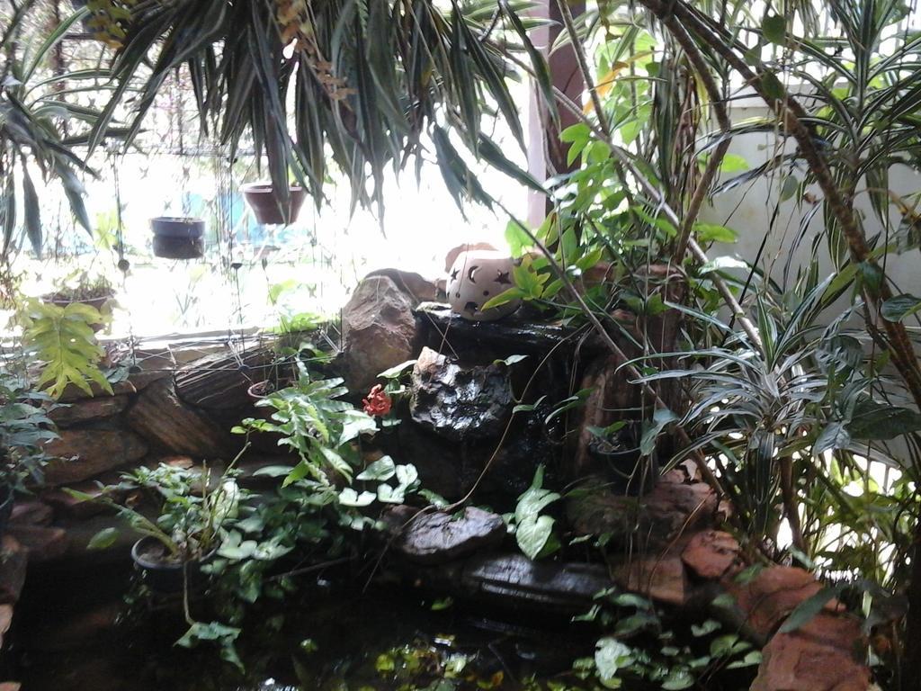 Kzazendf Cama E Cafe Asa Sul Bed & Breakfast Brasilia Exterior photo